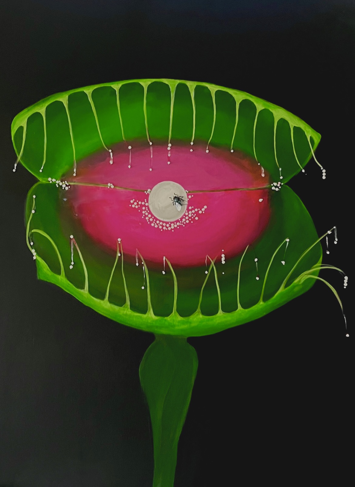 Venus in the House of Flies